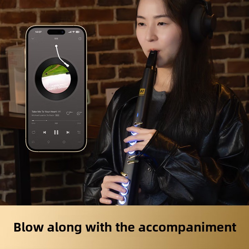C20 true sampling domestic hig - Musical Instrument You Blow 评论和价格
