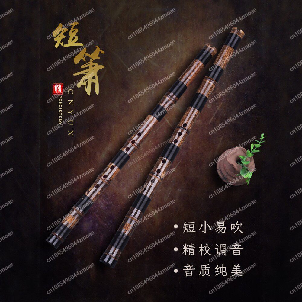 Professional play hole flute o - Musical Instrument You Blow 评论和价格