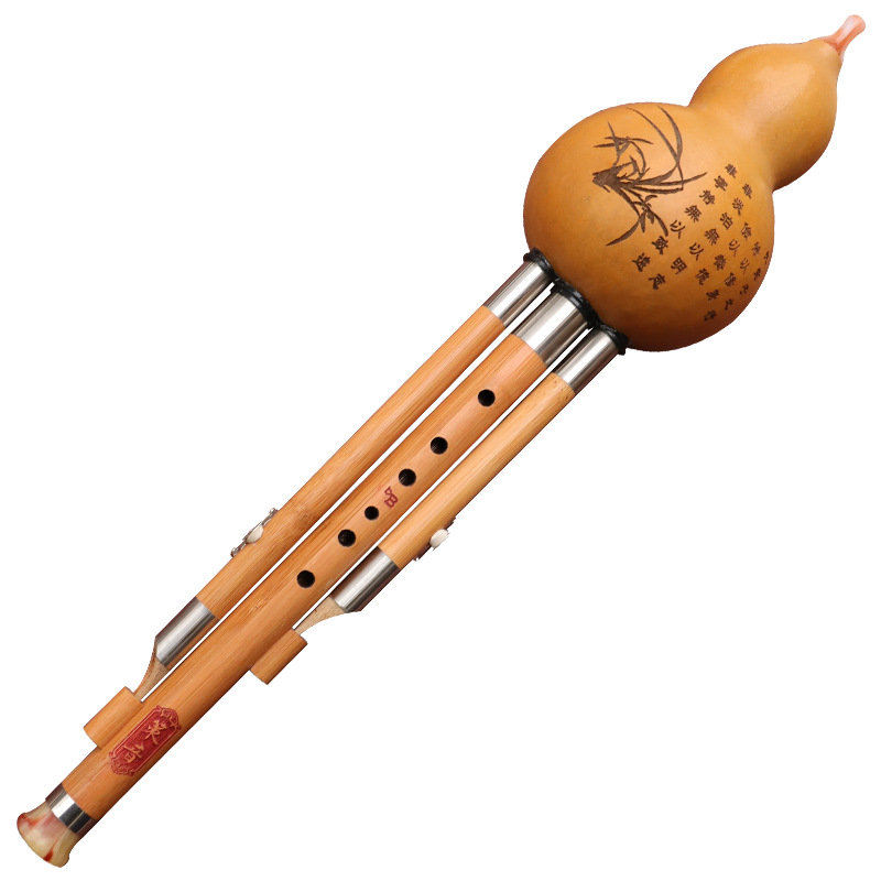 Nanzhu Gourd Silk Musical Inst - Musical Instrument You Blow 评论和价格