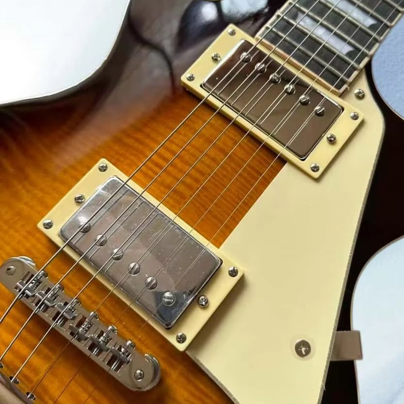 TS finish, Electric Guitar, Ro - Electric Guitar Beginner 评论和价格