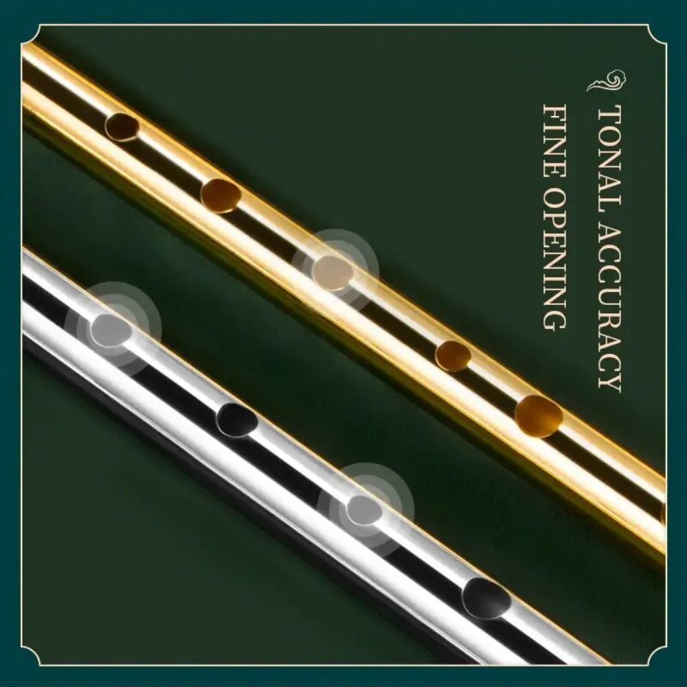 C/D Key Irish Whistle Flute 6  - Musical Instrument Irish 评论和价格